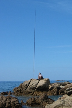 L/2 20m band vertical nr. Tiuiccia, Corsica 